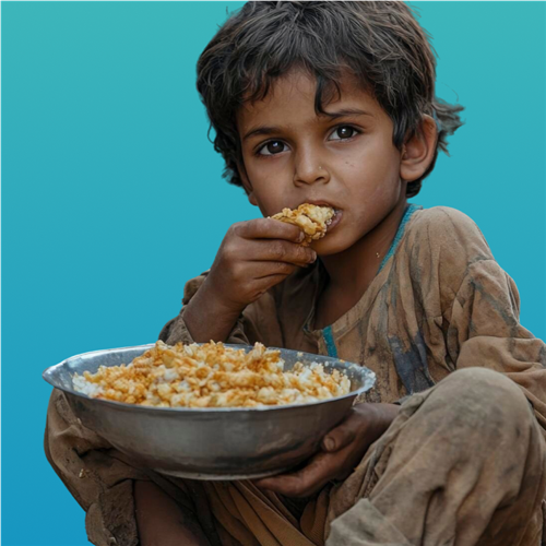 غذاء لكل بيت