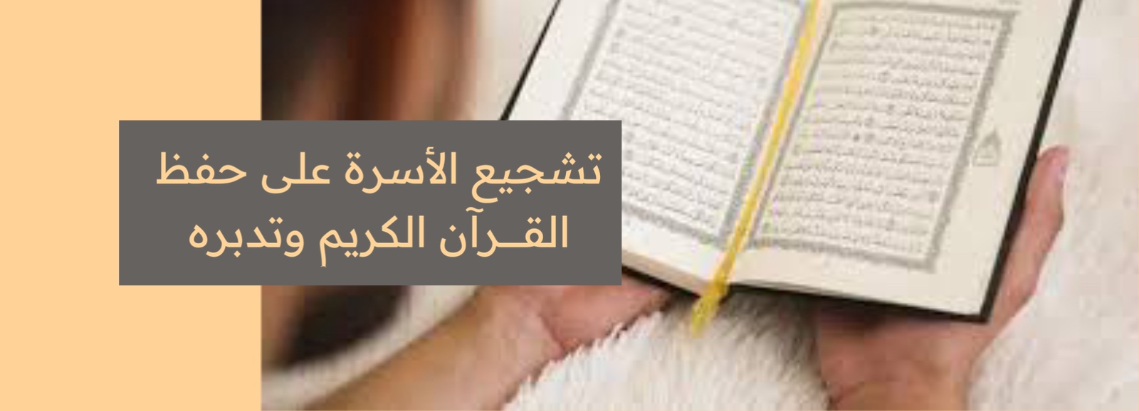 الرئيسية