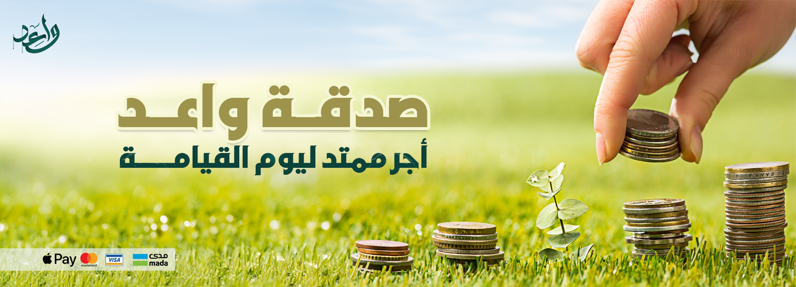 الرئيسية