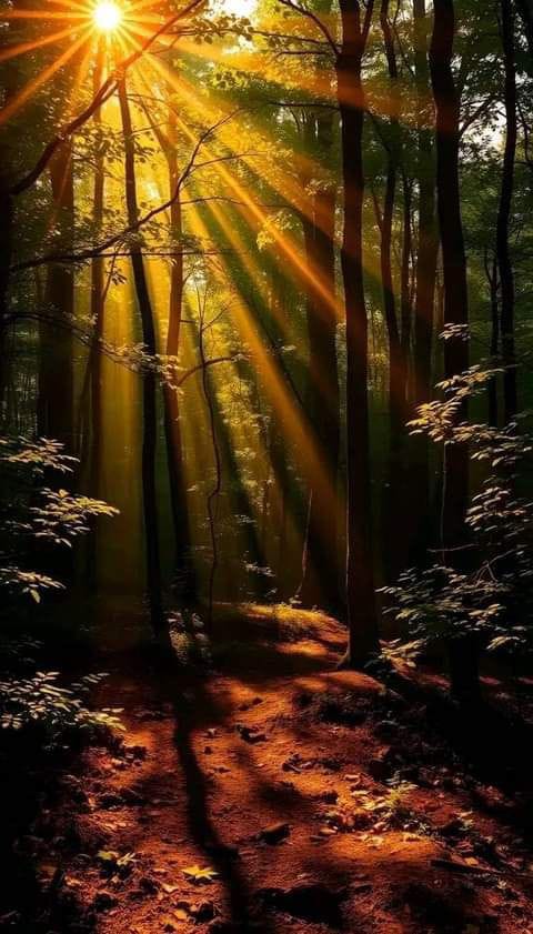 مشاريع رئيسيه