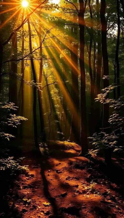 اهداء الي من احب