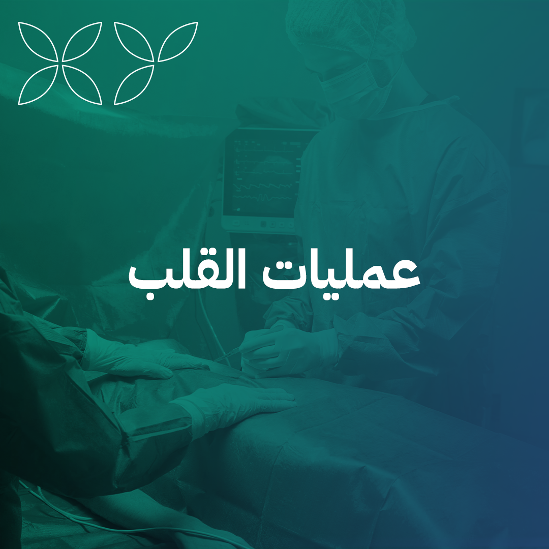 الرئيسية