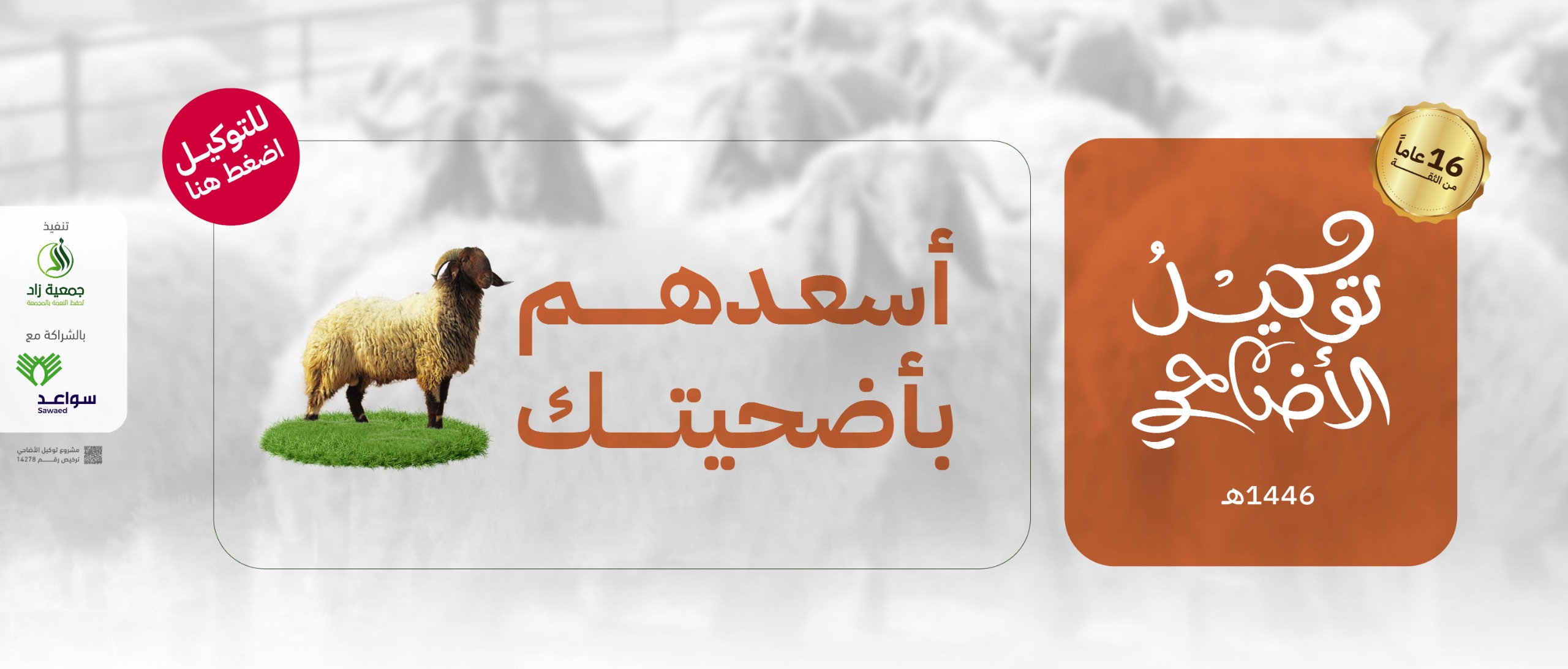 الرئيسية