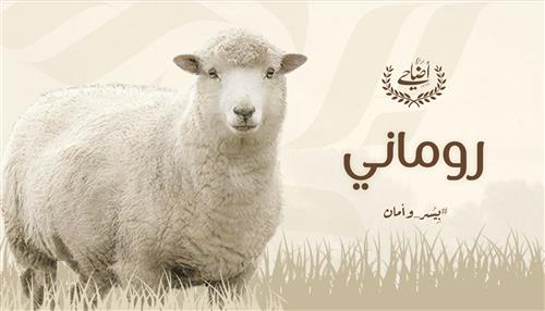 روماني