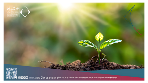 الصدقة اليومية