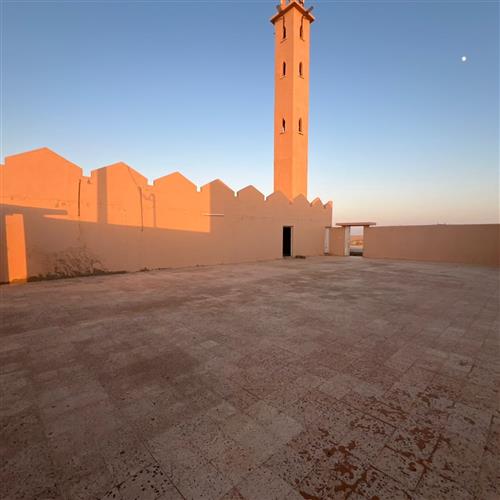 ترميم جامع صالح بن فريج بالطايلية