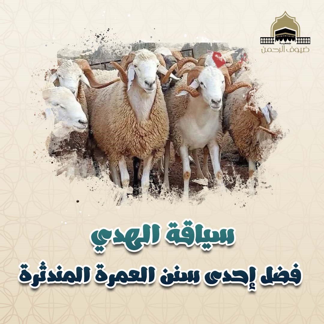 سياقة الهدي: فضل إحدى سنن العمرة المندثرة