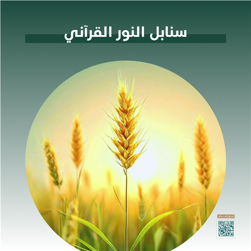 سنابل النور القرآني