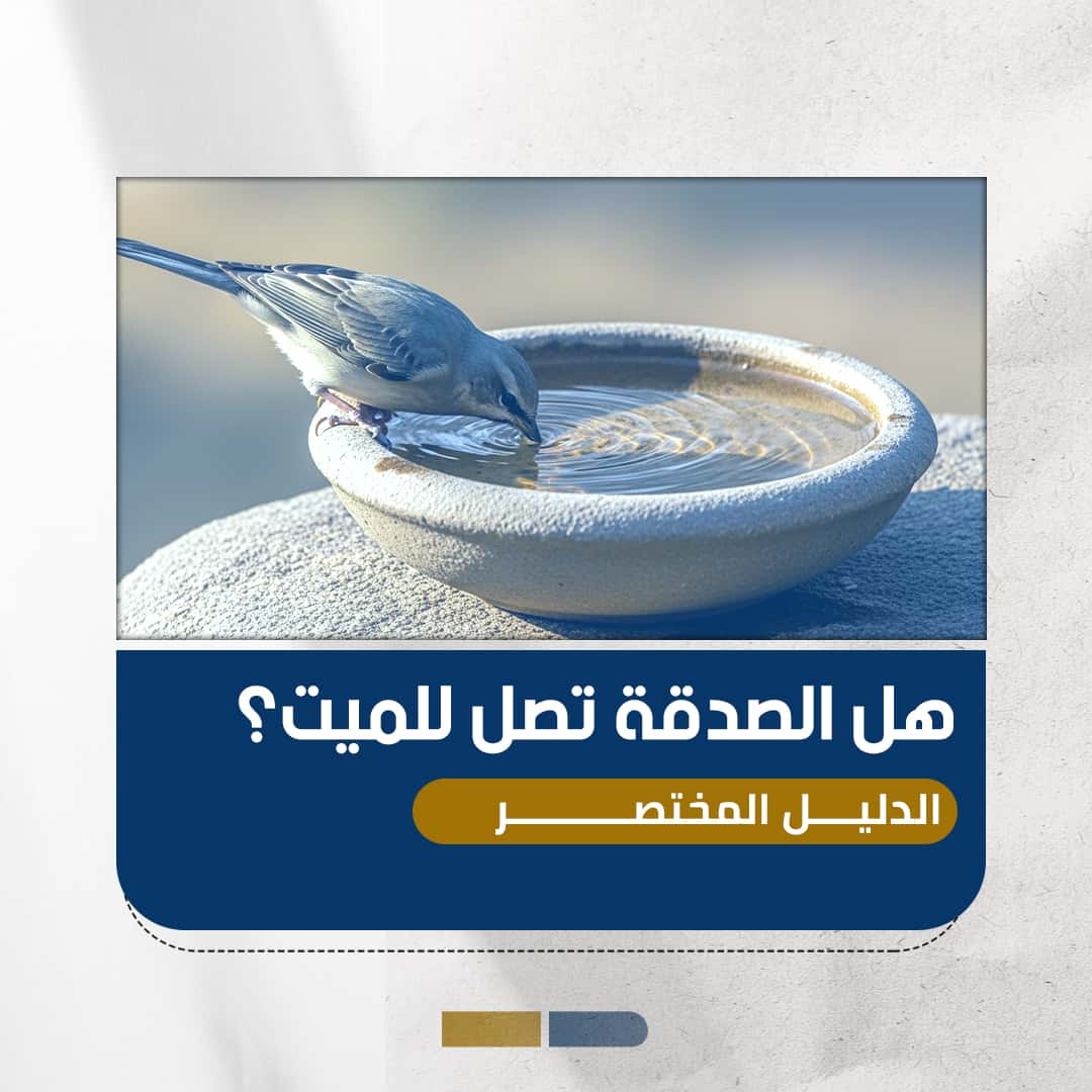 هل الصدقة تصل للميت؟ الدليل المختصر