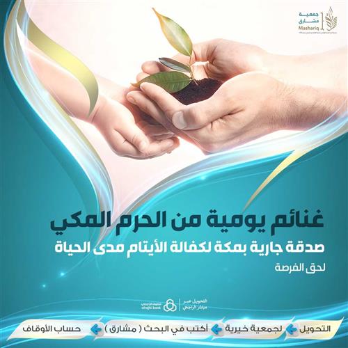 غنائم يومية من الحرم المكي