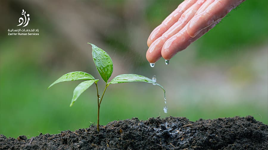  فضل الصدقة كل يوم: عادة صغيرة بأجر عظيم لا ينقطع