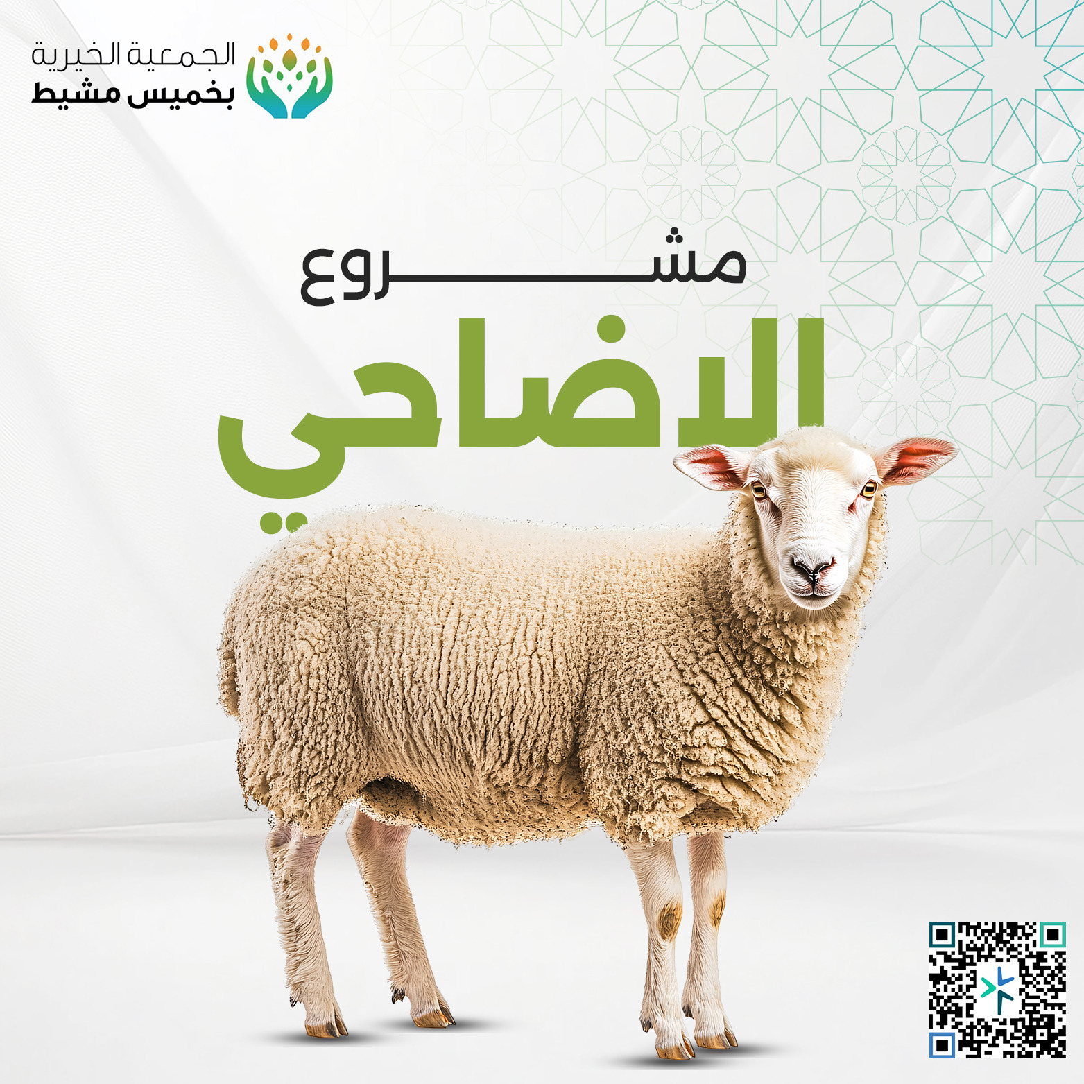 مشروع الاضاحي 