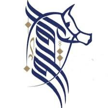 اكاديمية ومربط الفيروز للخيل العربية الاصيلة