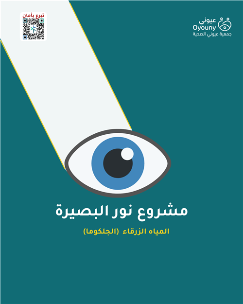 نور البصيرة