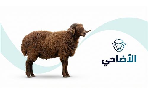 الذبائح (محافظات المدينة)