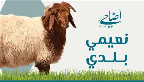 الأضاحي - نعيمي بلدي