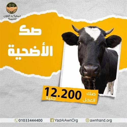 ⚠️تحديثات صكوك العجول في محافظات الصعيد 👇