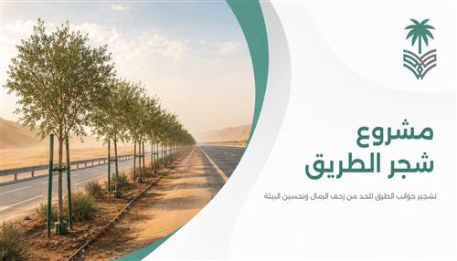 مشروع "شجر الطريق" 