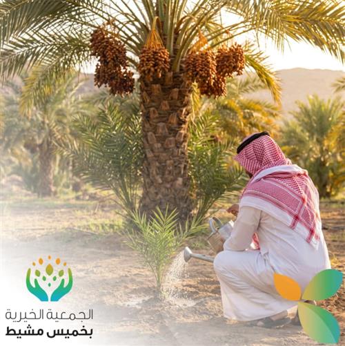 الصدقة الجارية 