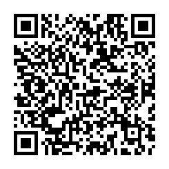 1767150725230