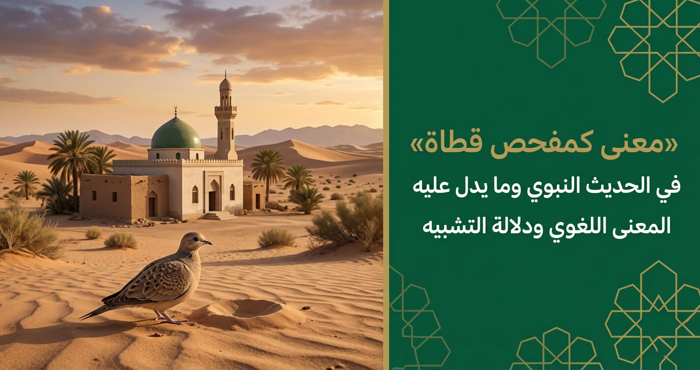 معنى كمفحص قطاة في الحديث: شرح لغوي ودلالة التشبيه في السنة
